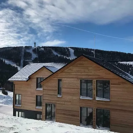 Horsky Apartman Klinovec Vyhledy 1 Loucna pod Klinovcem Exterior photo